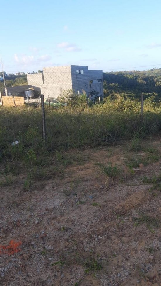 lote-venda-lote-em-jacarecica-744269