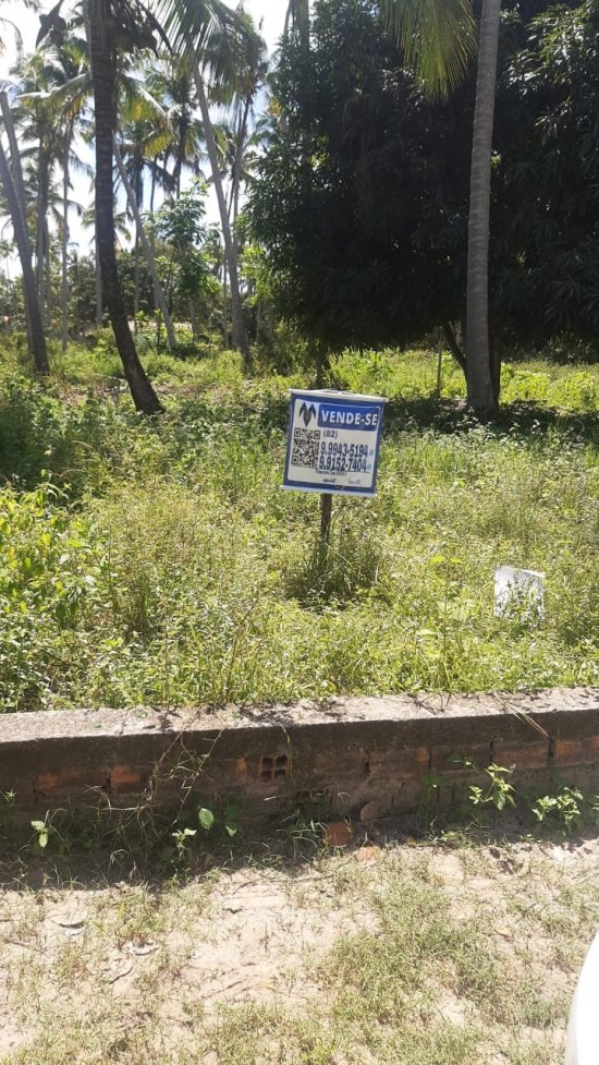 lote-venda-lote-em-japaratinga-747938