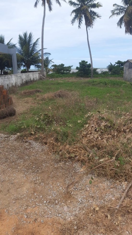 lote-venda-lote-beira-mar-sao-bento-maragogi-763866