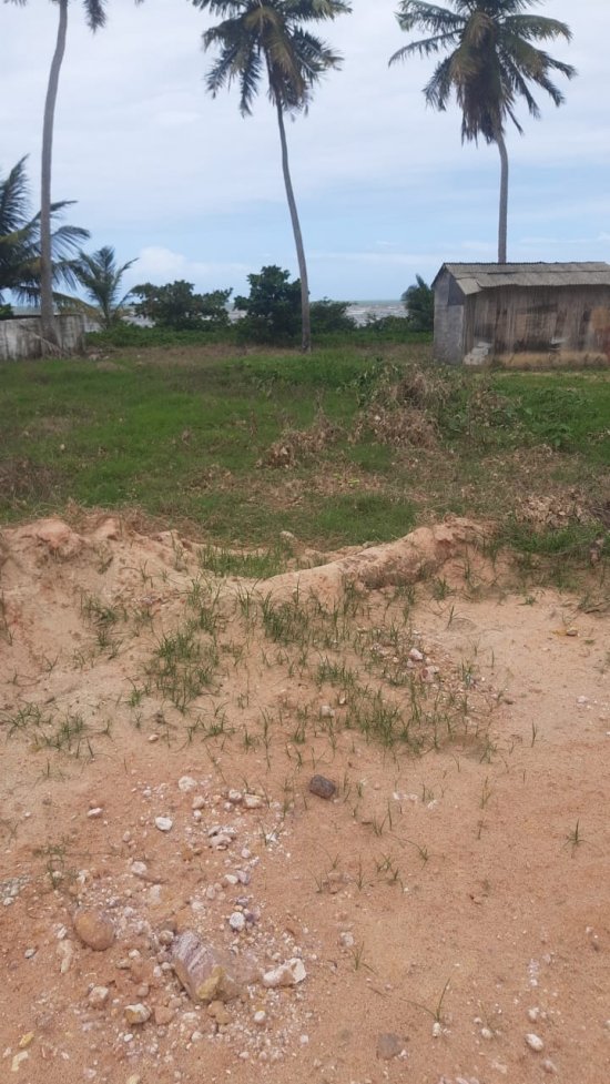 lote-venda-lote-beira-mar-sao-bento-maragogi-763867