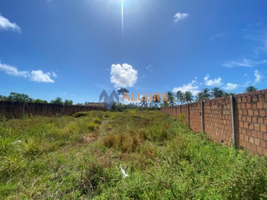 terreno-venda-loteamento-eldorado-mal-deodoro-1076977