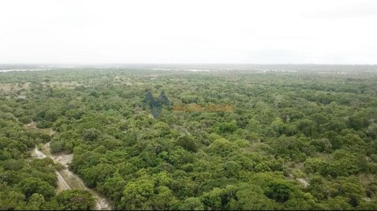 fazenda-venda-fazenda-em-piacabucu-al-1073561