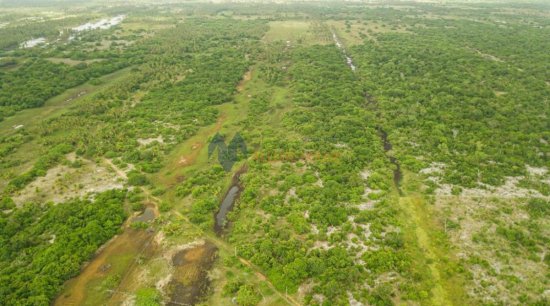fazenda-venda-fazenda-em-piacabucu-al-1073562