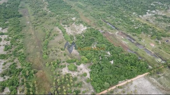 fazenda-venda-fazenda-em-piacabucu-al-1073563