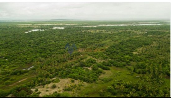fazenda-venda-fazenda-em-piacabucu-al-1073564