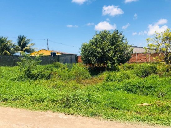 lote-venda-lote-nascente-1073582