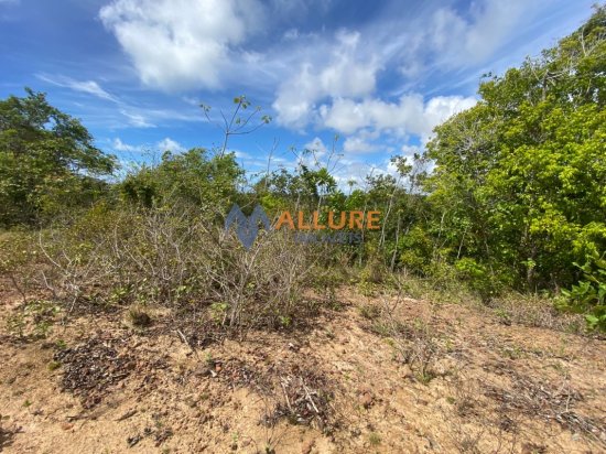 terreno-venda-lote-com-vista-mar-1085106