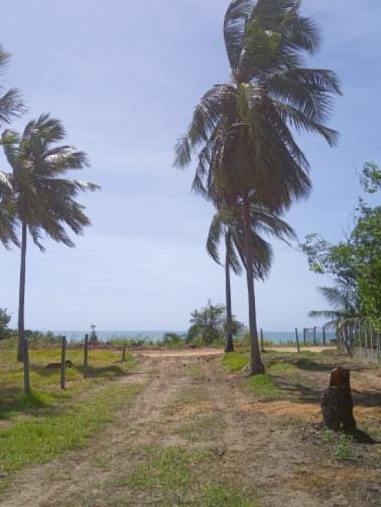 terreno-venda-lote-lagoa-do-pau-coruripe-796973
