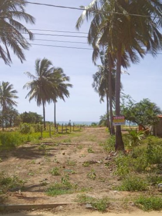 terreno-venda-lote-lagoa-do-pau-coruripe-796978